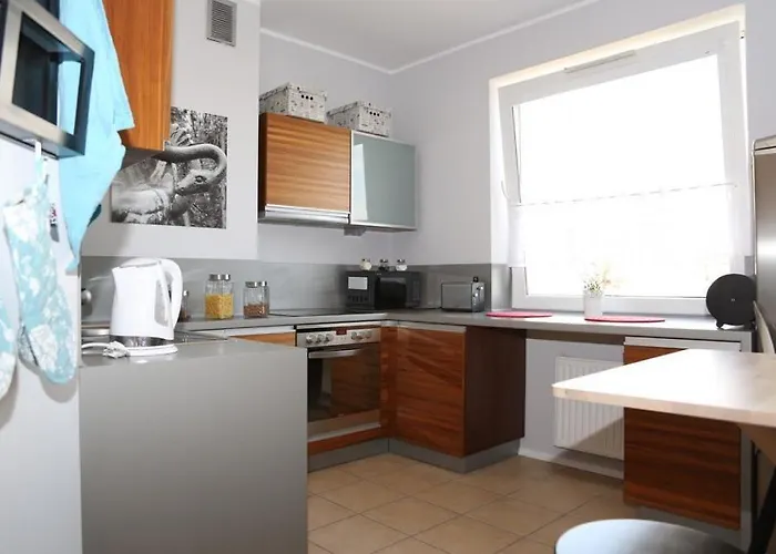 Bohaterow Kragujewca 6 *